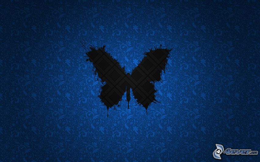 pillangó, kék háttér