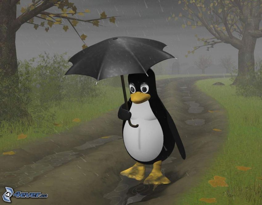 pingvin, vihar, eső, esernyő, ősz, fű