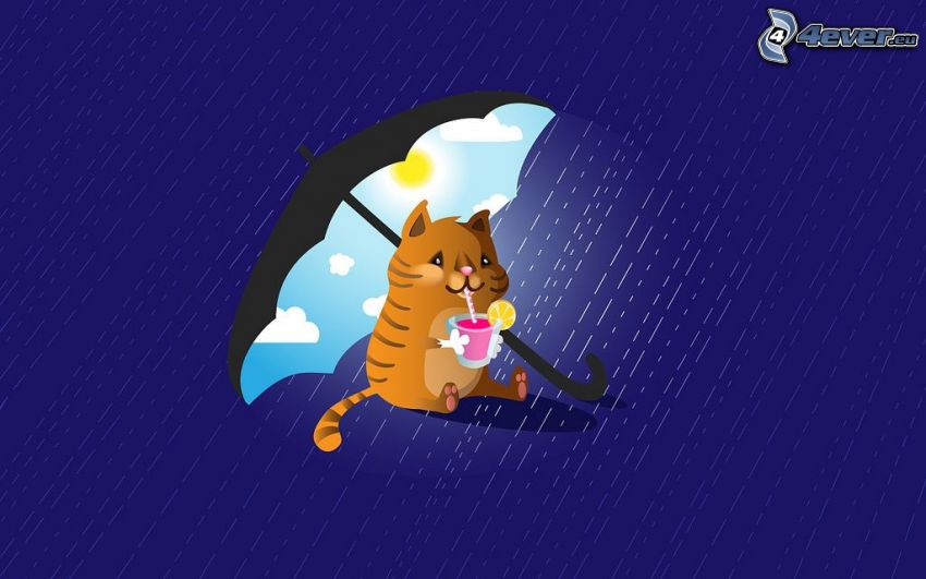 rajzolt macska, drink, esernyő, nap, eső