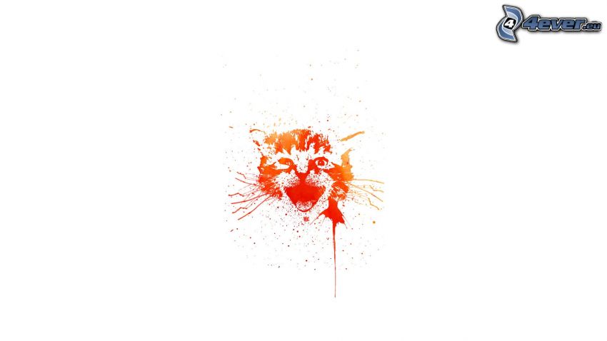 rajzolt macska, folt