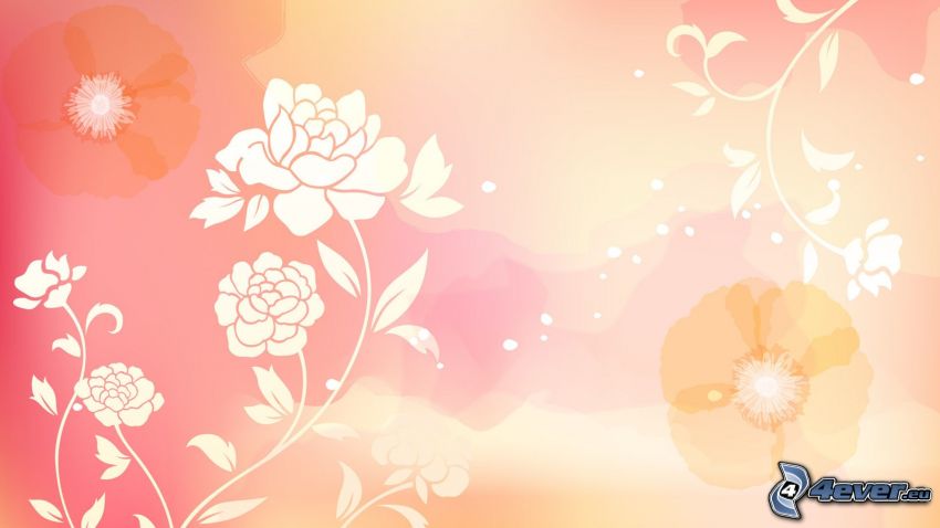 rózsaszín háttér, rajzolt virágok