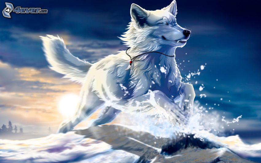 Szibériai husky, rajzolt kutya, hó