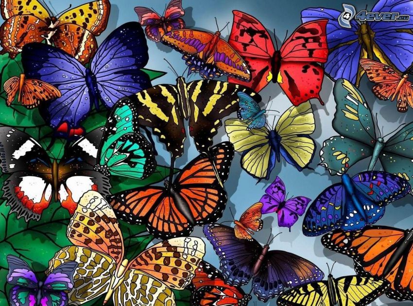 színes pillangók