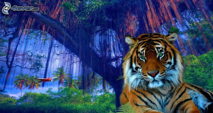 tigris, esőerdő, Ara papagáj
