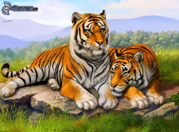 tigrisek, szikla, zöld fű