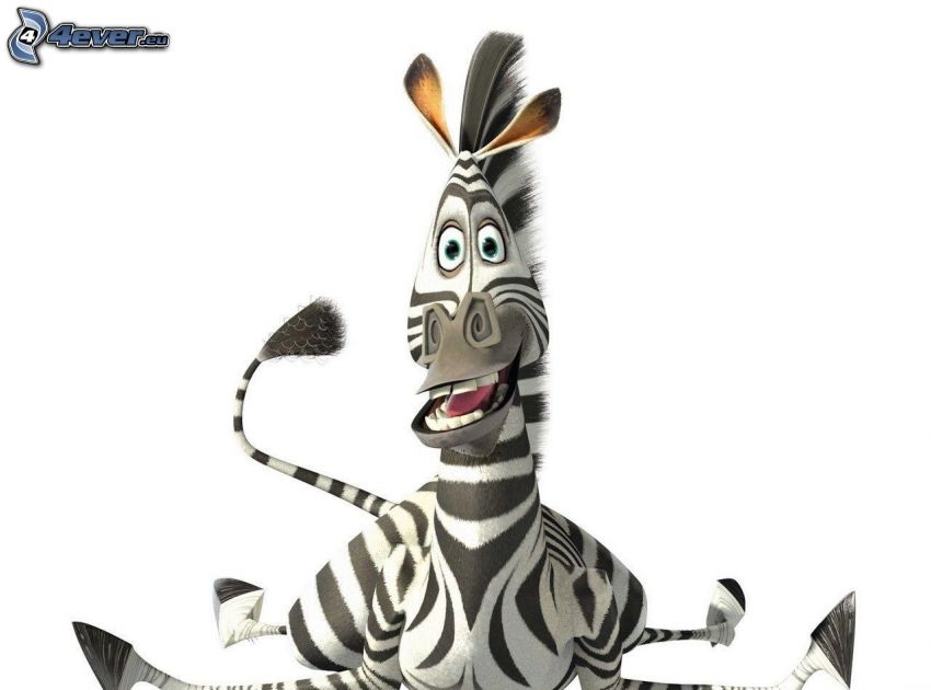 zebra a Madagaszkárból