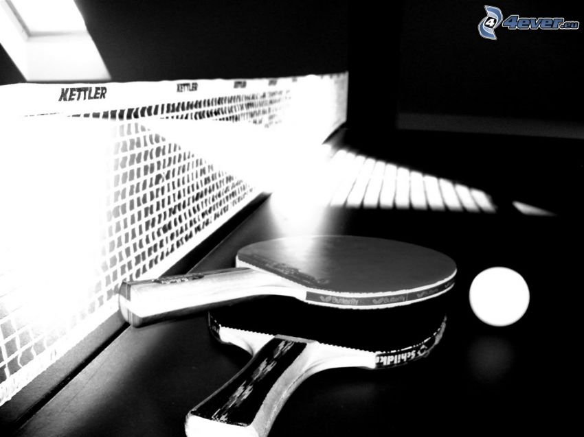 asztalitenisz, teniszütő, labda, fekete-fehér kép
