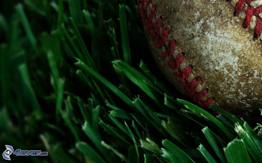 baseball-labda, fű
