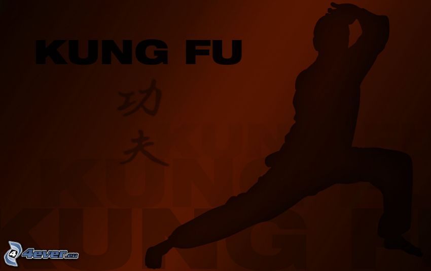 kung fu, sziluett