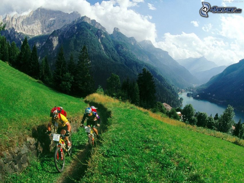 mountain biker, hegyek, rét, völgy