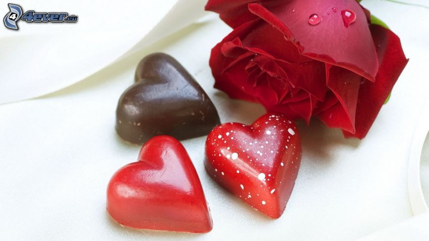 csokoládé szívek, bonbonok, rózsa