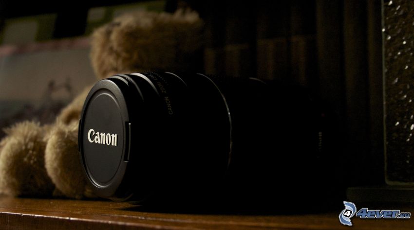 Canon, fényképezőgép, plüssmaci