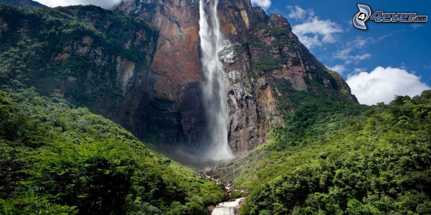 Angel-vízesés, erdő, Venezuela