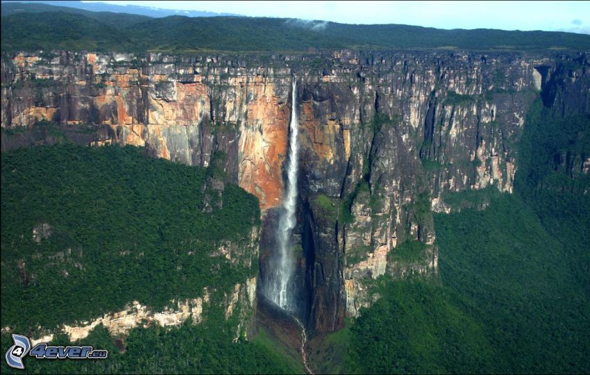 Angel-vízesés, kliff, erdő, Venezuela