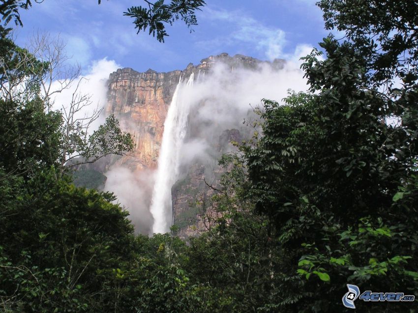 Angel-vízesés, kliff, fák, Venezuela