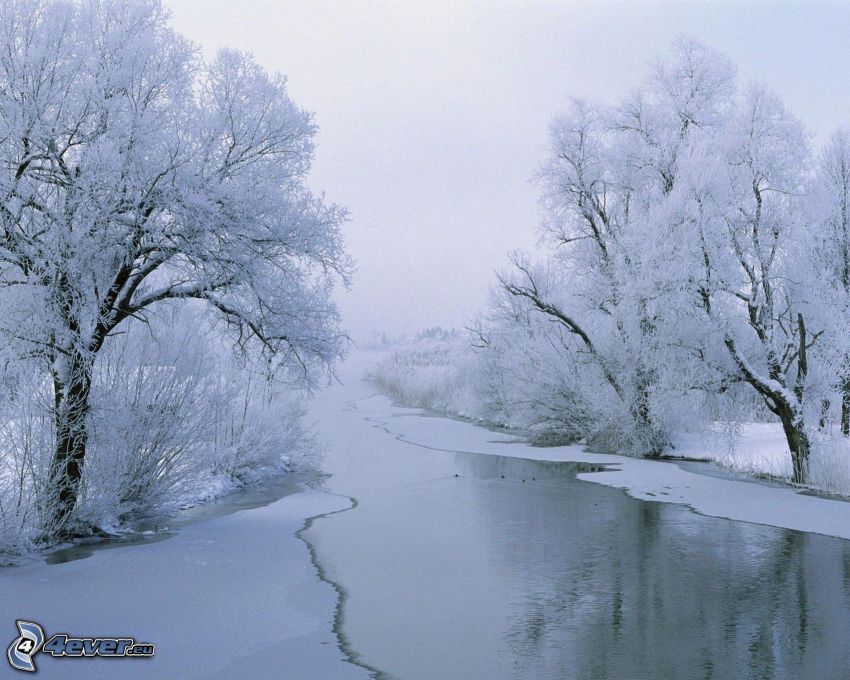 befagyott folyó, havas fák