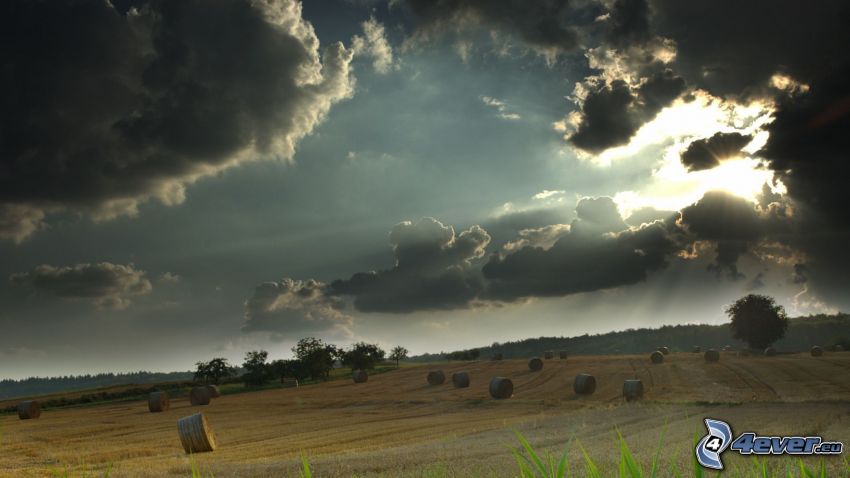 felhők, nap, mező, széna aratás után