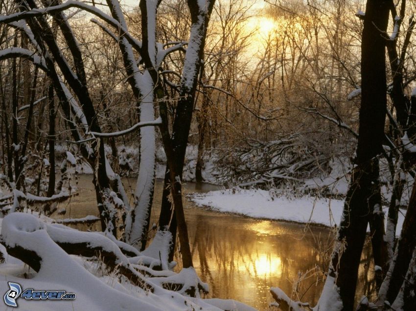 folyó, havas fák, nap