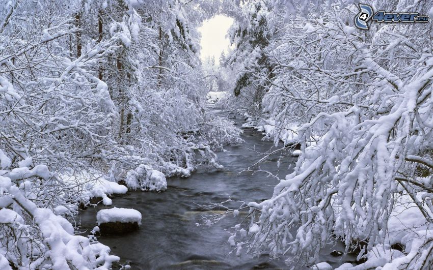 folyó, havas fák
