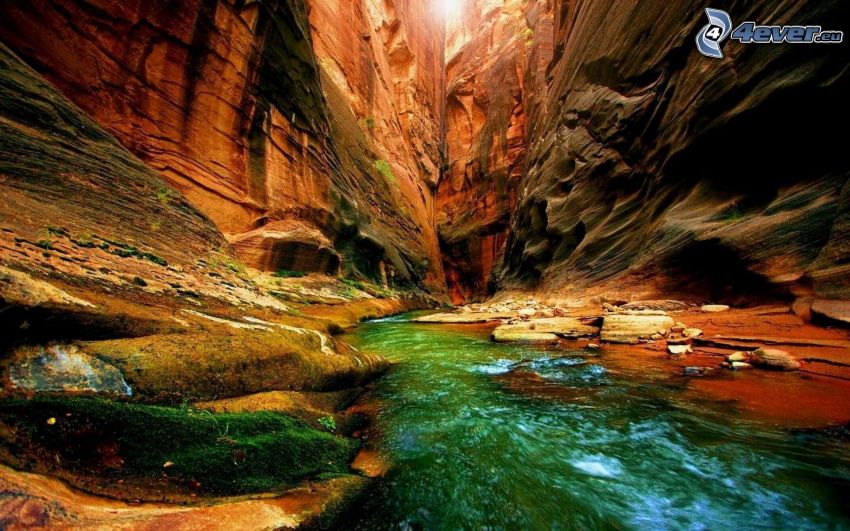 Grand Canyon, USA, sziklák, patak, moha