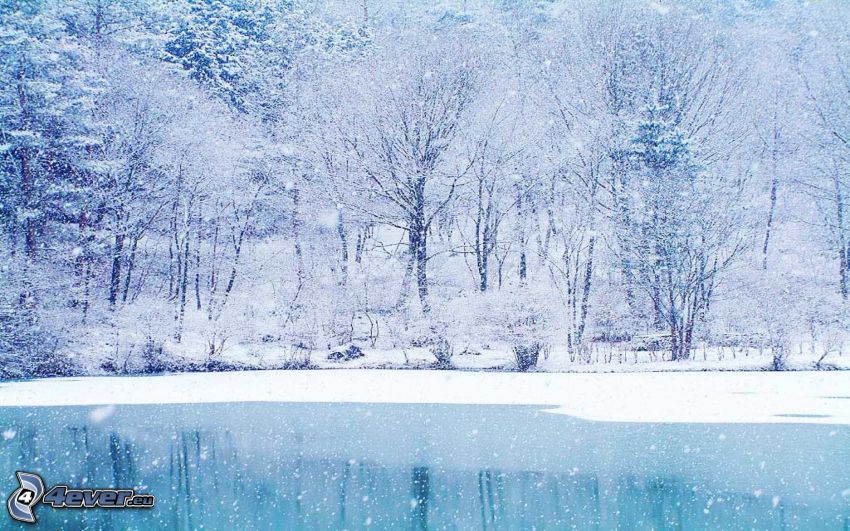 havas erdő, befagyott tó