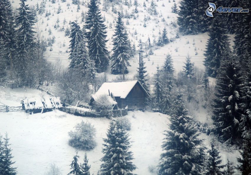 havas ház, havas tűlevelű erdő, havas dombok