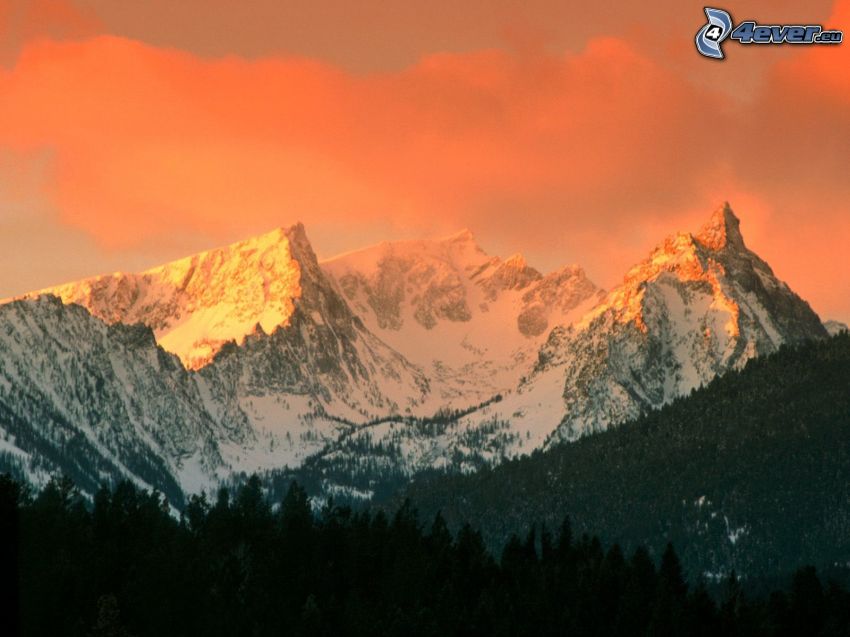 Bitterroot Mountains, Montana, domb, erdő