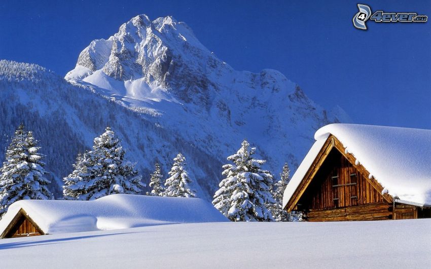havas kunyhók, faházak, hegy, hó, erdő