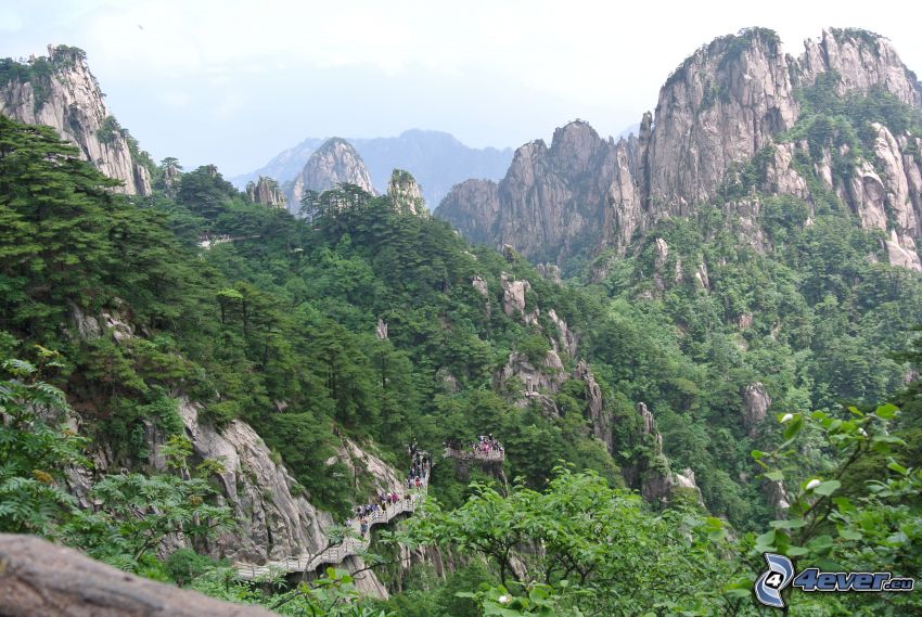 Huangshan, sziklás hegységek, zöld