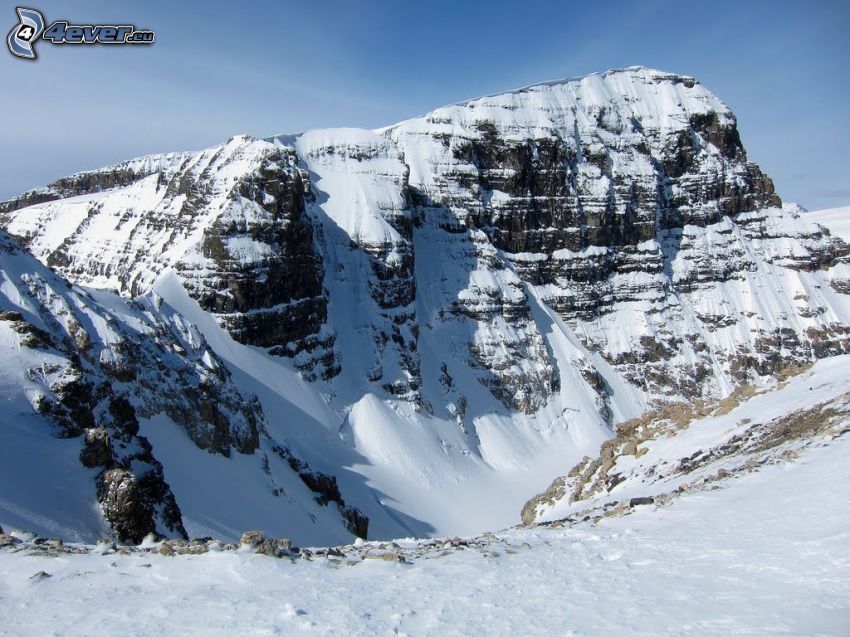 Mount Athabasca, havas domb