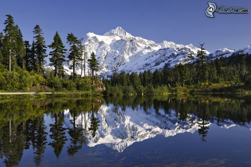 Mount Shuksan, havas hegység, tó, visszatükröződés, erdő