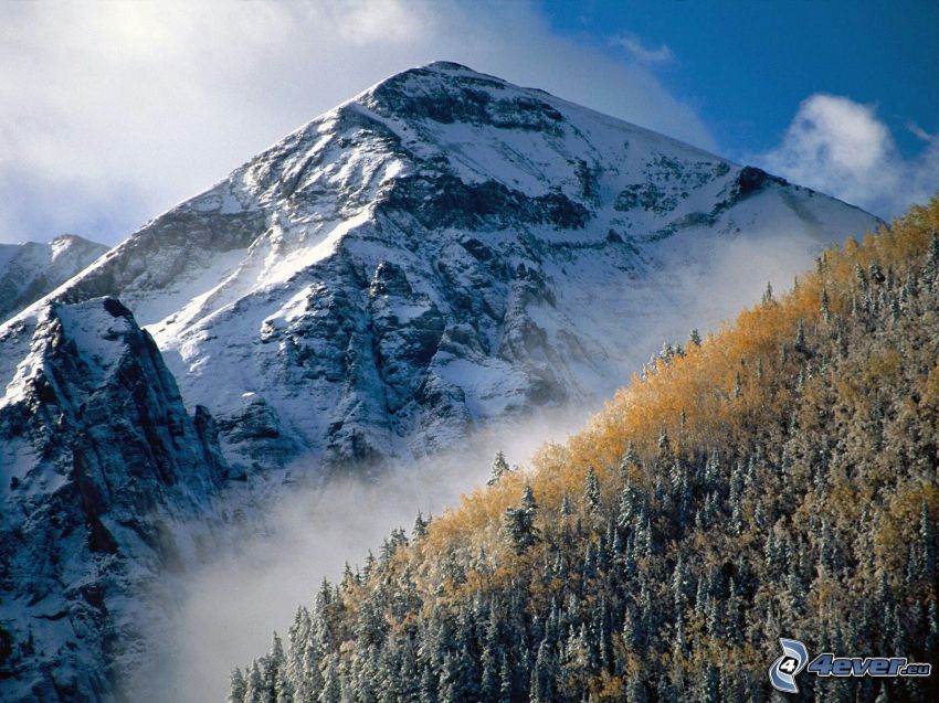 Mountains Telluride, Colorado, domb, hegy, havas tűlevelű erdő