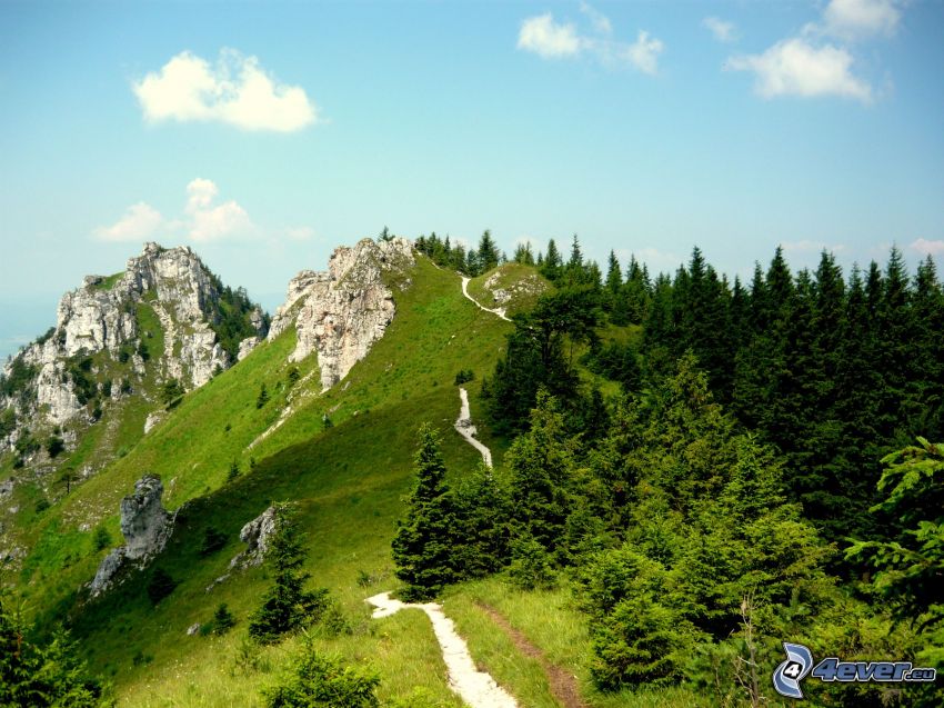 Ostrá, Nagy-Fátra, Szlovákia, sziklás hegységek, turistaút