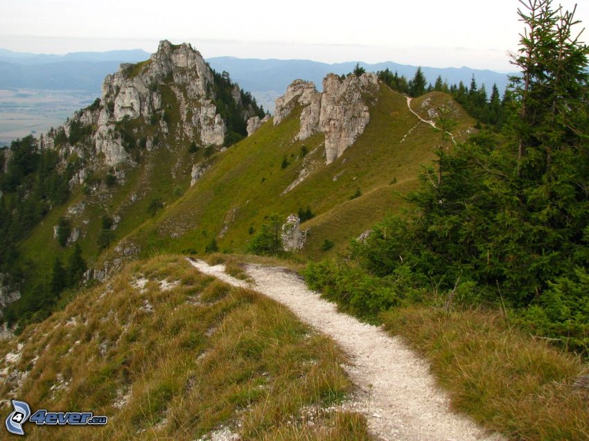 Ostrá, Nagy-Fátra, Szlovákia, turistaút, sziklás hegységek