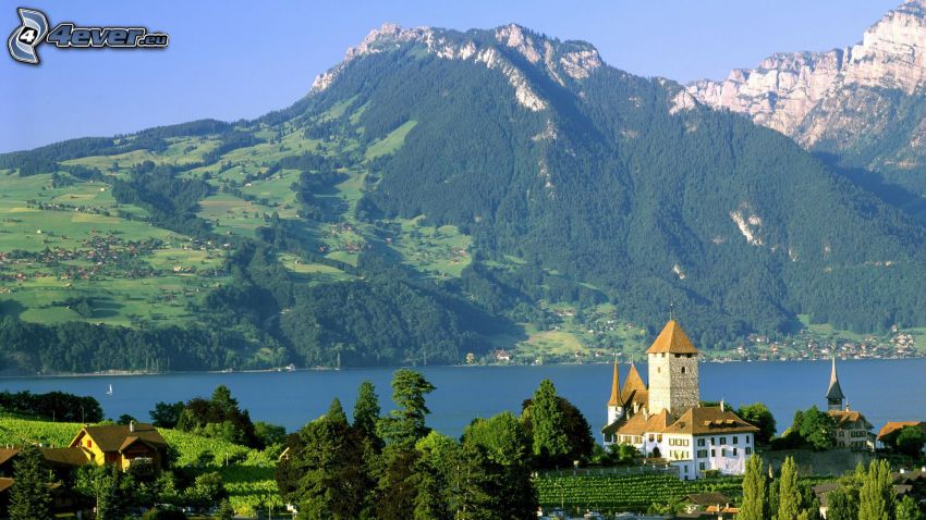 Svájc, sziklás hegységek, folyó, házak