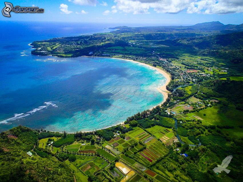 Kauai, Hawaii, öböl, tengerpart, tenger, légifelvétel