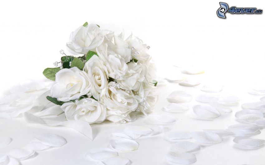 esküvői csokor, fehér rózsák, rózsaszirom