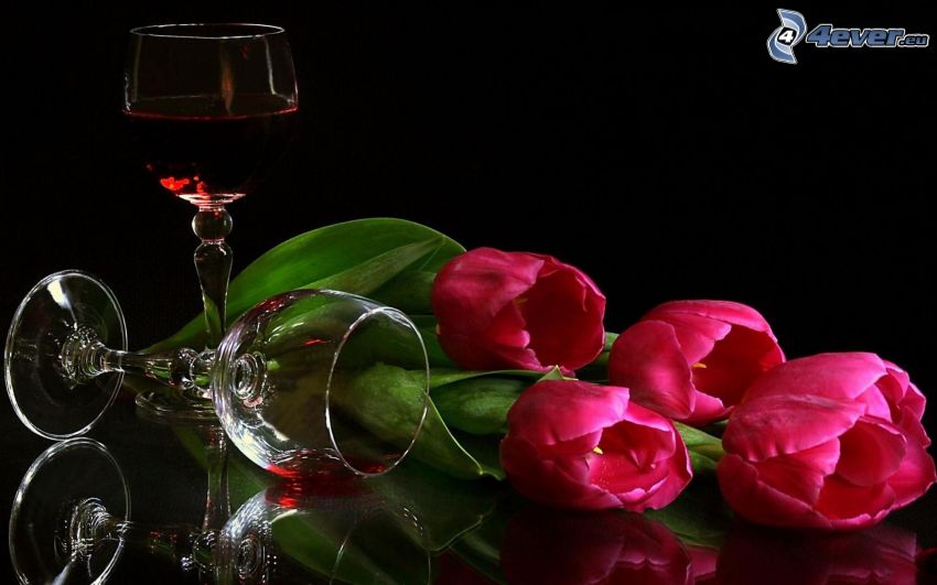 rózsaszín tulipánok, poharak, bor