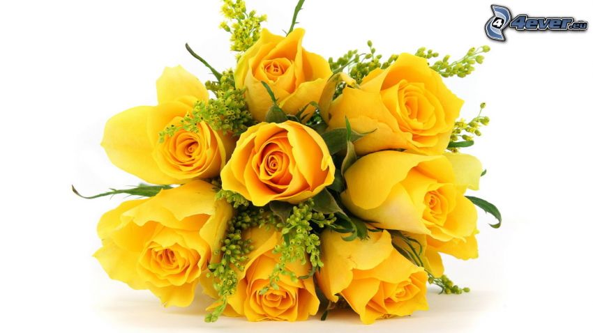 sárga rózsák