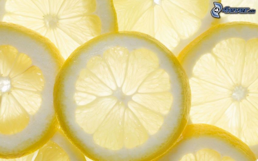 citrom szeletek