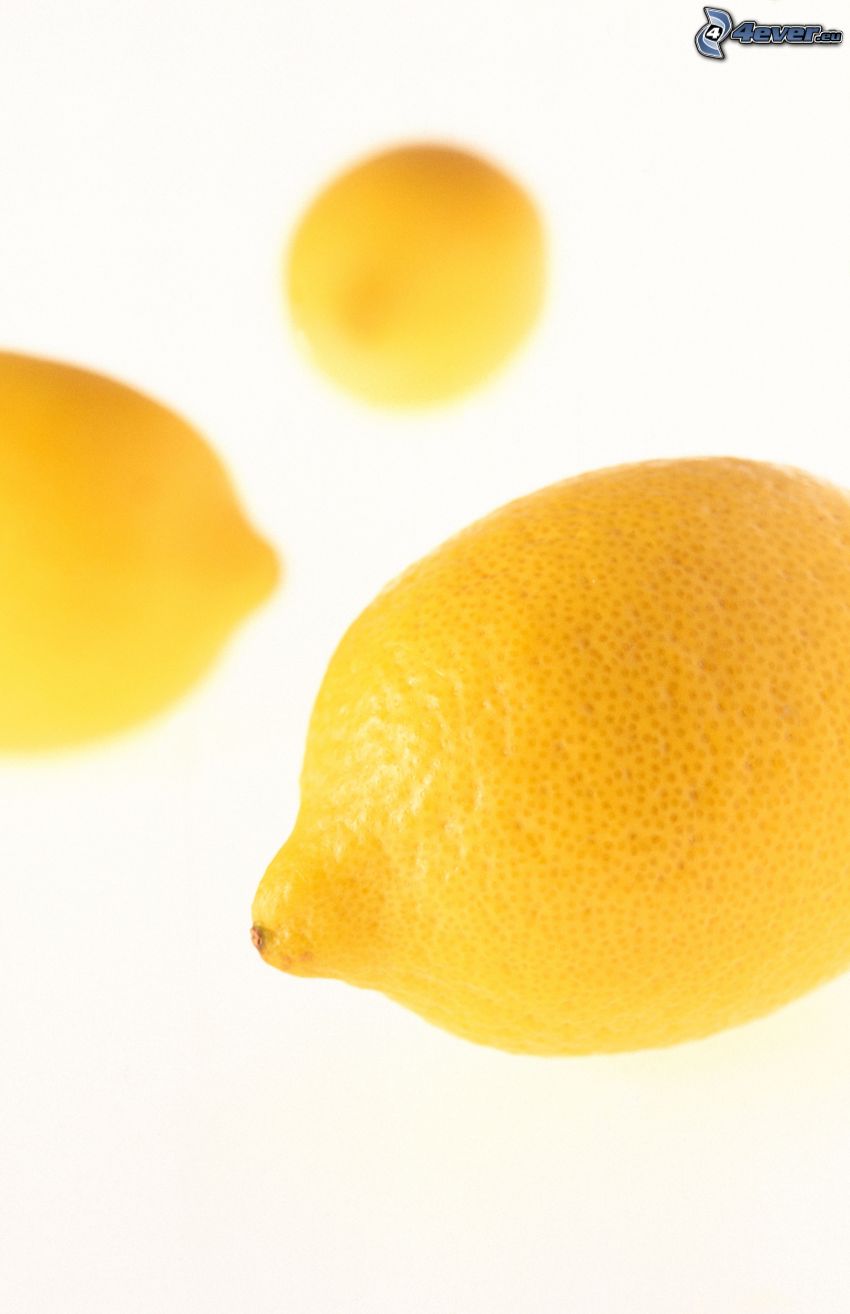 citromok