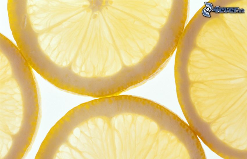 citromszeletek
