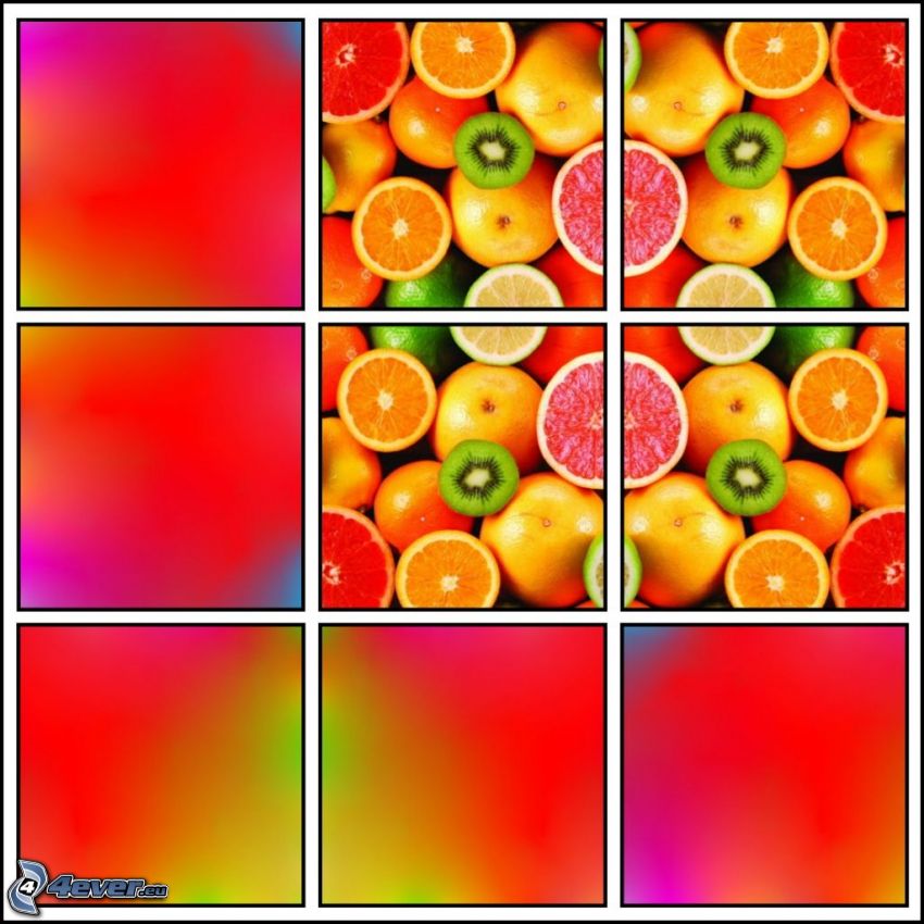 citrusfélék, narancsok, kiwi, grépfrút, mandarinok, négyzetek