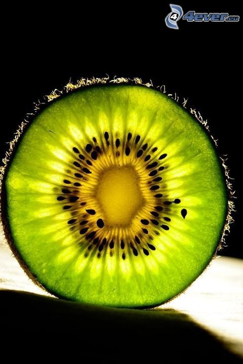 kiwi