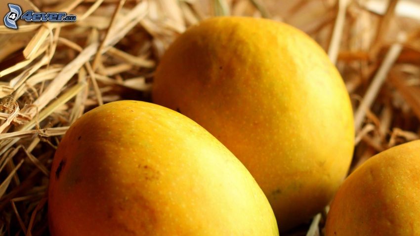 mangó, szalma