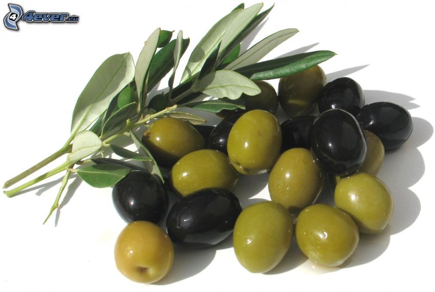 olivák