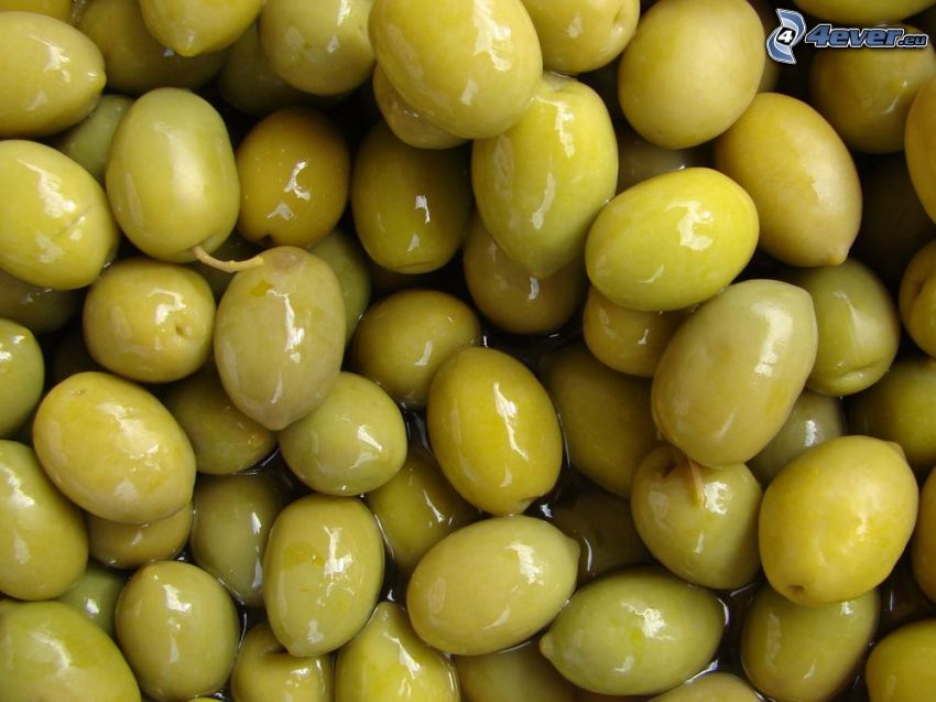olivák