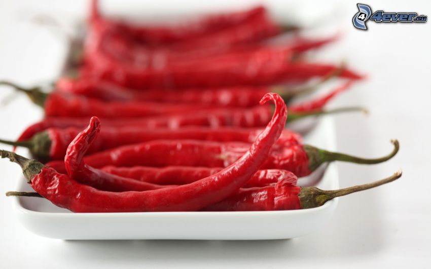 piros chili paprikák
