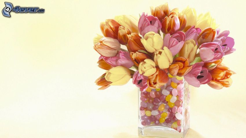 tulipánok, kövek, váza
