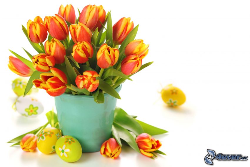 tulipánok, virágcsokor